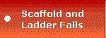 Scaffold and
Ladder Falls